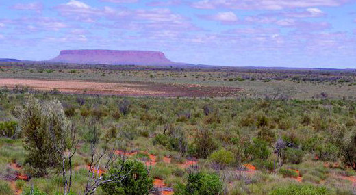 carbon dryland cycle